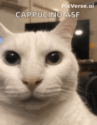A Close Up Of A Cat 'S Face With The Words Cappuccino Asf Above It GIF