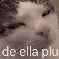 A Close Up Of A Cat 'S Face With The Words De Ella Plu Written Below It . GIF