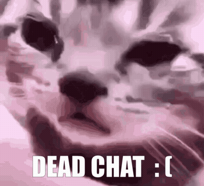 A Close Up Of A Cat 'S Face With The Words `` Dead Chat : '' Written On It . GIF