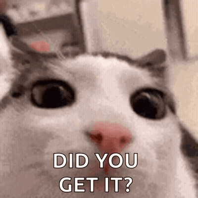 A Close Up Of A Cat 'S Face With The Words `` Did You Get It '' Written Above It . GIF