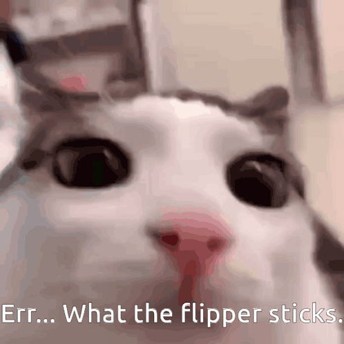 A Close Up Of A Cat 'S Face With The Words " Err What The Flipper Sticks " Below It GIF