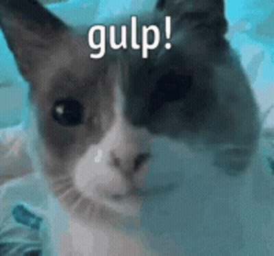A Close Up Of A Cat 'S Face With The Words Gulp Written Above It . GIF