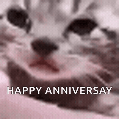 A Close Up Of A Cat 'S Face With The Words Happy Anniversary Written Above It GIF