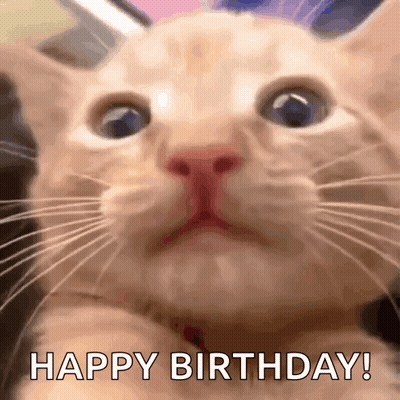 A Close Up Of A Cat 'S Face With The Words Happy Birthday Written On The Bottom GIF