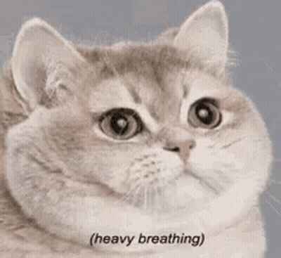 A Close Up Of A Cat 'S Face With The Words `` Heavy Breathing '' Written Next To It . GIF