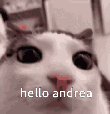 A Close Up Of A Cat 'S Face With The Words Hello Andrea Above It GIF