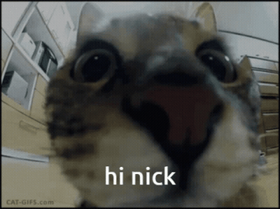 A Close Up Of A Cat 'S Face With The Words Hi Nick On The Bottom GIF