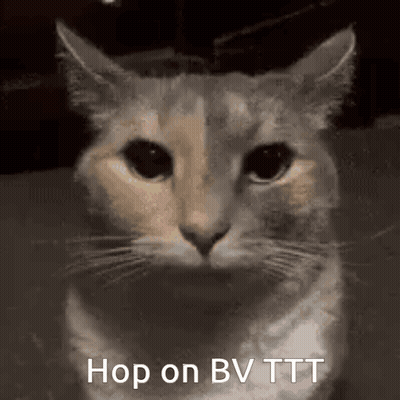 A Close Up Of A Cat 'S Face With The Words `` Hop On Bv Tt '' Written On The Bottom . GIF