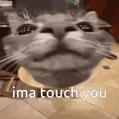 A Close Up Of A Cat 'S Face With The Words `` I 'M A Touch You '' Written On It . GIF