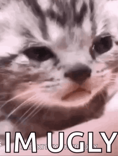 A Close Up Of A Cat 'S Face With The Words `` I 'M Ugly '' Written On It . GIF