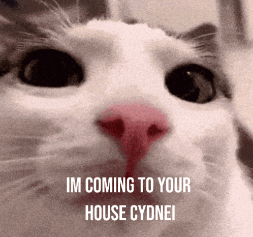A Close Up Of A Cat 'S Face With The Words Im Coming To Your House Cdynei On The Bottom GIF