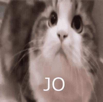 A Close Up Of A Cat 'S Face With The Words `` Jo '' Written Above It . GIF