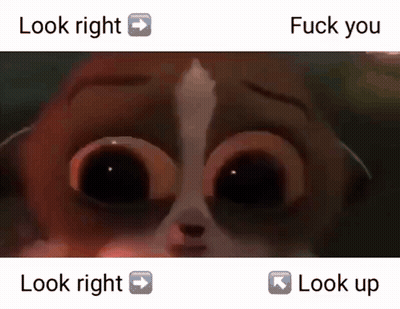 A Close Up Of A Cat 'S Face With The Words Look Right And Fuck You Below It GIF