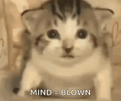A Close Up Of A Cat 'S Face With The Words `` Mind = Blown '' Written Below It . GIF