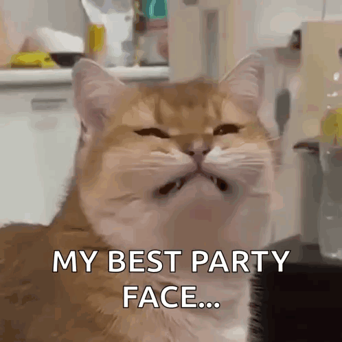 A Close Up Of A Cat 'S Face With The Words My Best Party Face GIF