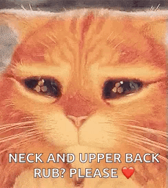 A Close Up Of A Cat 'S Face With The Words `` Neck And Upper Back Rub ? Please '' Written Next To It . GIF