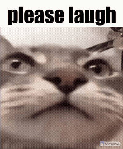 A Close Up Of A Cat 'S Face With The Words Please Laugh Below It GIF