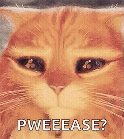A Close Up Of A Cat 'S Face With The Words Pweease Written Below It GIF