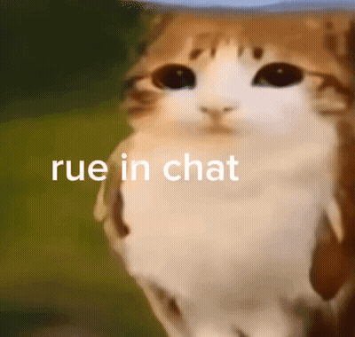 A Close Up Of A Cat 'S Face With The Words Rue In Chat Above It . GIF
