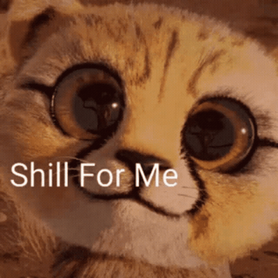 A Close Up Of A Cat 'S Face With The Words `` Shill For Me '' Written Below It . GIF