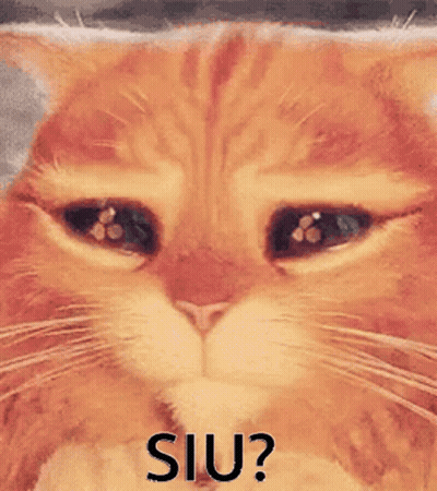 A Close Up Of A Cat 'S Face With The Words Siu Written On It GIF