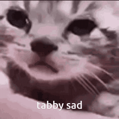 A Close Up Of A Cat 'S Face With The Words Tabby Sad Above It . GIF