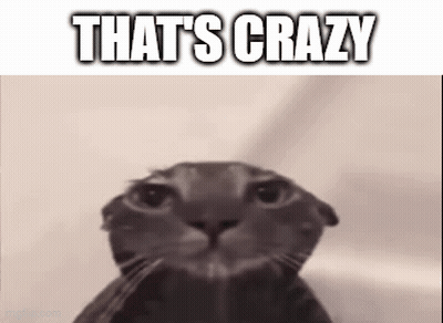 A Close Up Of A Cat 'S Face With The Words `` That 'S Crazy '' Written On It . GIF