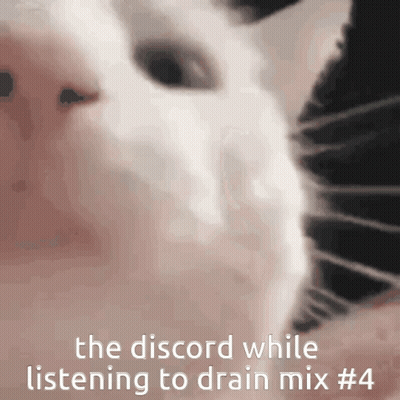 A Close Up Of A Cat 'S Face With The Words " The Discord While Listening To Drain Mix # 4 " GIF