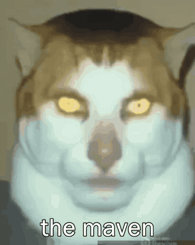 A Close Up Of A Cat 'S Face With The Words The Maven Written Below It GIF