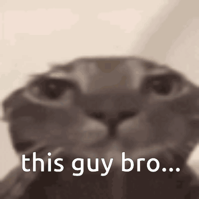 A Close Up Of A Cat 'S Face With The Words `` This Guy Bro '' Written In White Letters . GIF