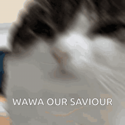 A Close Up Of A Cat 'S Face With The Words " Wawa Our Saviour " Below It GIF