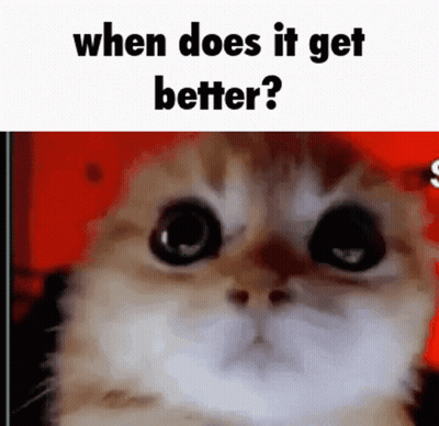 A Close Up Of A Cat 'S Face With The Words `` When Does It Get Better ? '' Written Above It . GIF