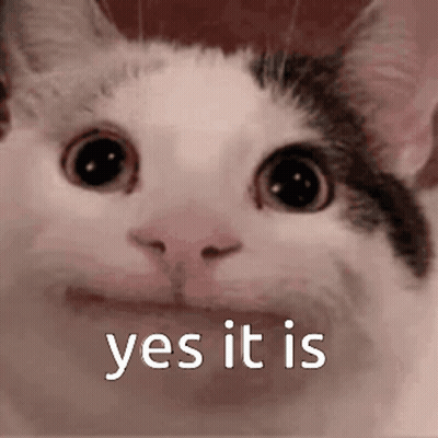 A Close Up Of A Cat 'S Face With The Words `` Yes It Is '' Written Below It . GIF