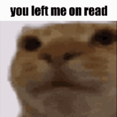 A Close Up Of A Cat 'S Face With The Words `` You Left Me On Read '' . GIF