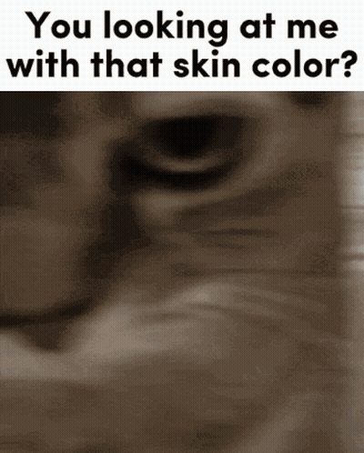 A Close Up Of A Cat 'S Face With The Words You Looking At Me With That Skin Color GIF