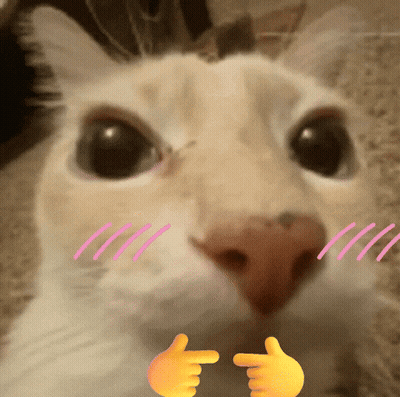 A Close Up Of A Cat 'S Face With Two Hands Pointing Towards It GIF