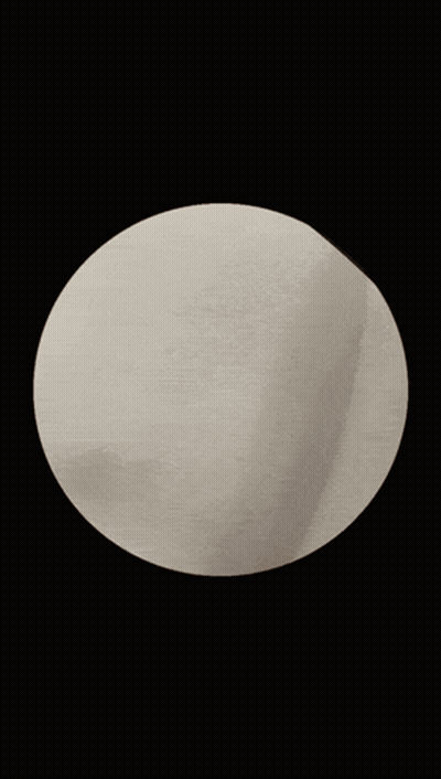 A Close Up Of A Cat 'S Head In A Circle On A Black Background GIF