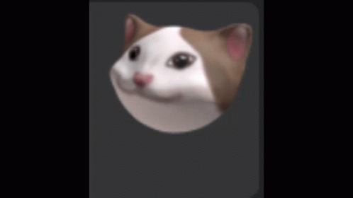 A Close Up Of A Cat 'S Head On A Black Background GIF