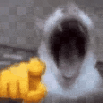 A Close Up Of A Cat 'S Mouth With Its Mouth Open And A Yellow Fist Behind It . GIF