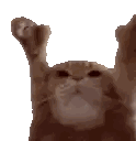 A Close Up Of A Cat 'S Paws In The Air . Sticker