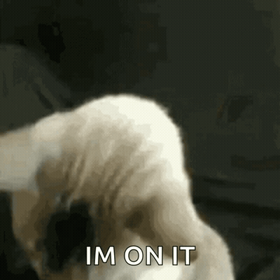A Close Up Of A Cat 'S Tail With The Words Im On It Above It GIF