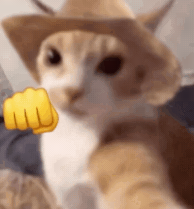 A Close Up Of A Cat Wearing A Cowboy Hat And Giving A Fist . GIF