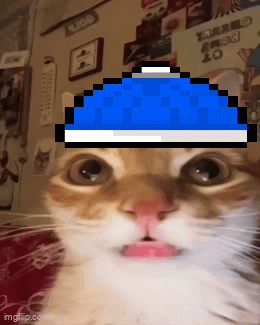 A Close Up Of A Cat With A Blue Hat On It GIF