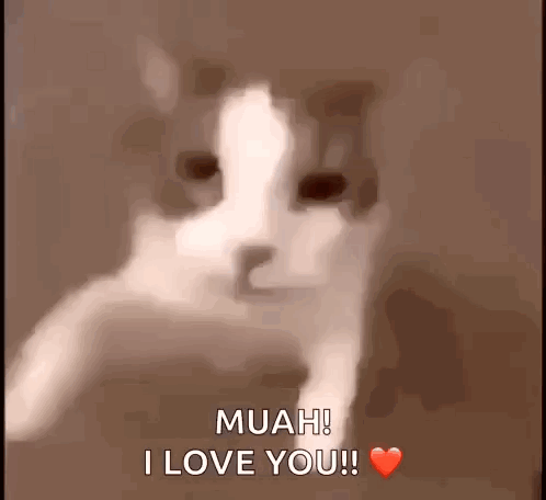 A Close Up Of A Cat With A Heart And The Words Muah I Love You . GIF