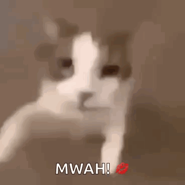 A Close Up Of A Cat With A Red Lip And The Words Mwah GIF