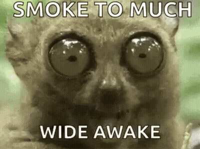 A Close Up Of A Cat With Big Eyes And The Words `` Smoke To Much Wide Awake '' Written On It . GIF