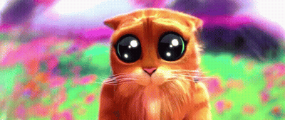 A Close Up Of A Cat With Big Eyes Looking At The Camera GIF