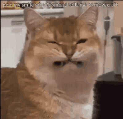 A Close Up Of A Cat With Its Eyes Closed And A Caption That Says `` My Smile When Someone Tells Me To Movecraft '' GIF