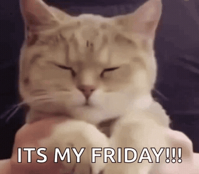 A Close Up Of A Cat With Its Eyes Closed And The Words `` It 'S My Friday '' Written On It . GIF
