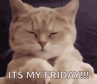 A Close Up Of A Cat With Its Eyes Closed And The Words `` It 'S My Friday '' Written On It . GIF